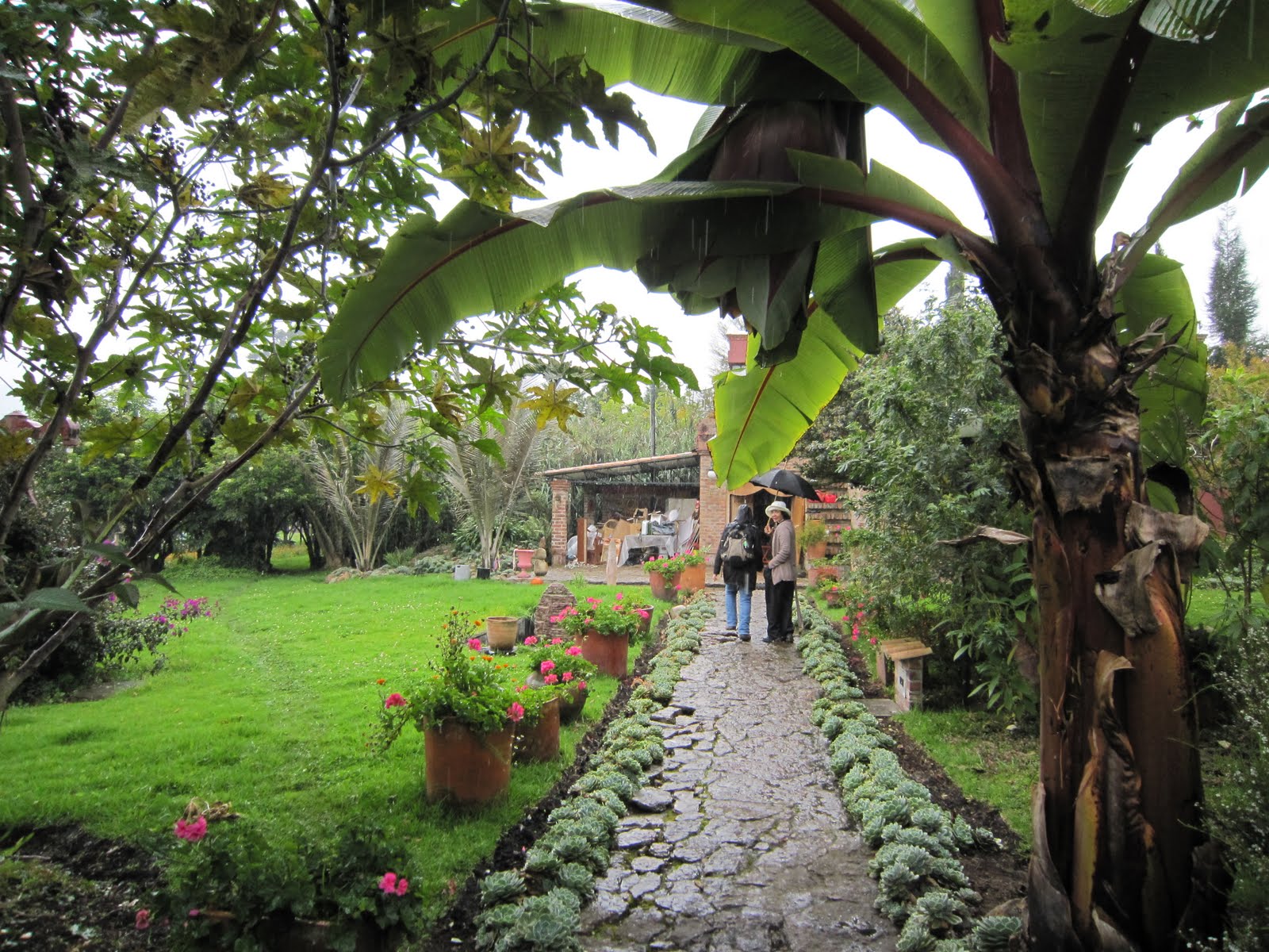 Sweet Green Dreams More farms in Tenjo, Bogota, Colombia